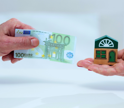 Progetto senza titolo 350